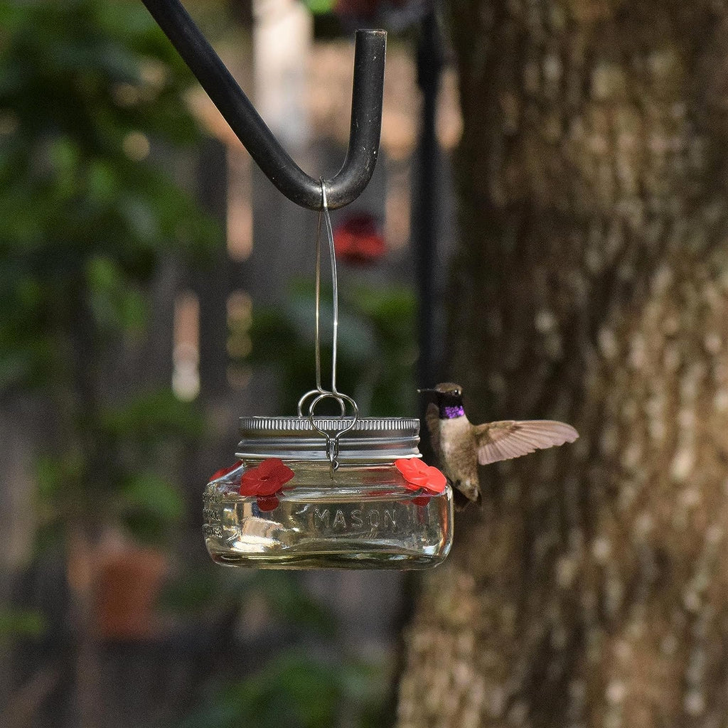 🎉 Beautiful Plastic Jar Hummingbird Feeder W/ Four Ports
