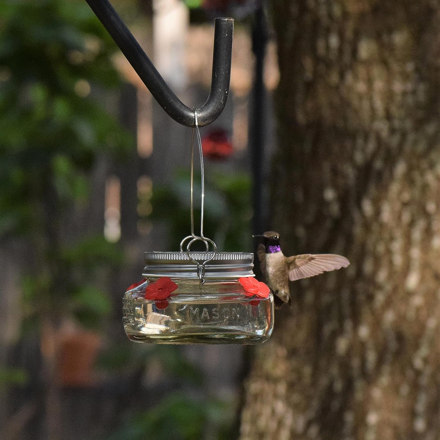 🎉 Beautiful Plastic Jar Hummingbird Feeder W/ Four Ports