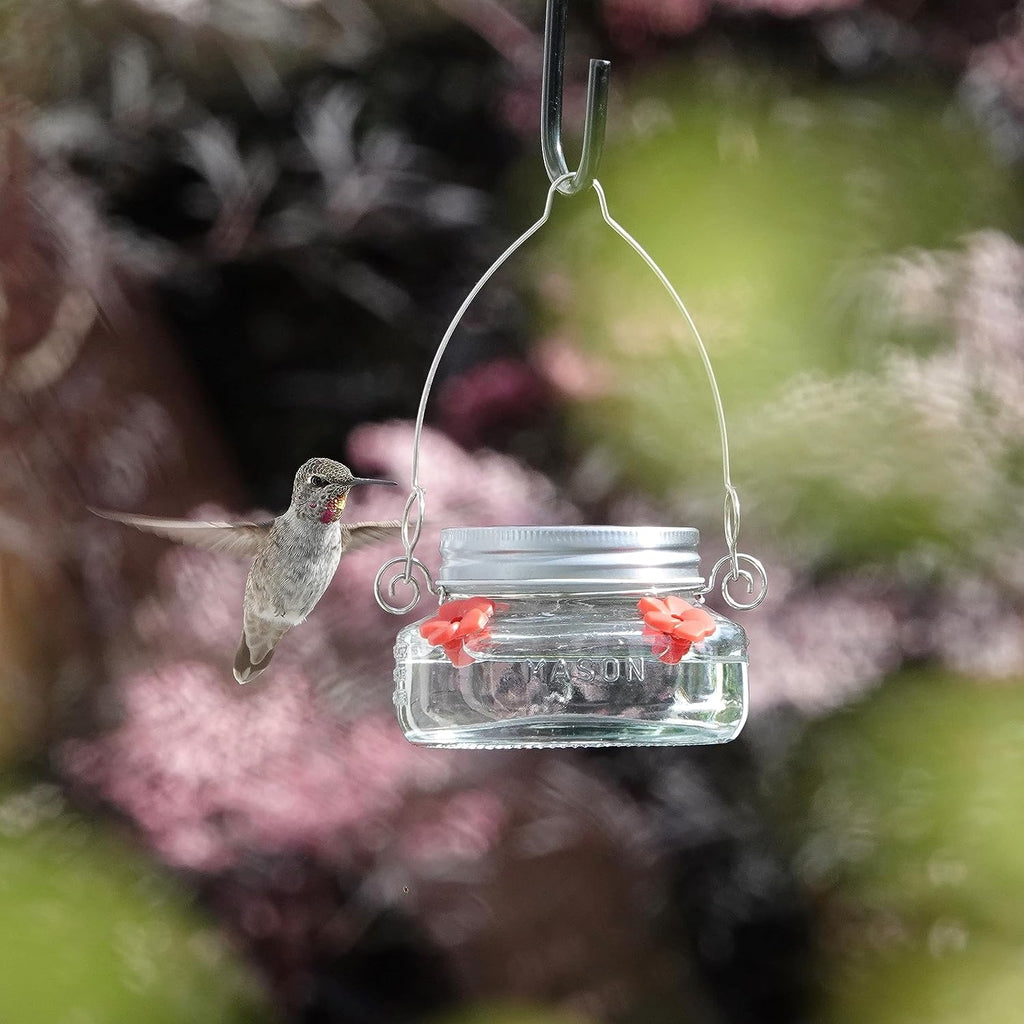 🎉 Beautiful Plastic Jar Hummingbird Feeder W/ Four Ports
