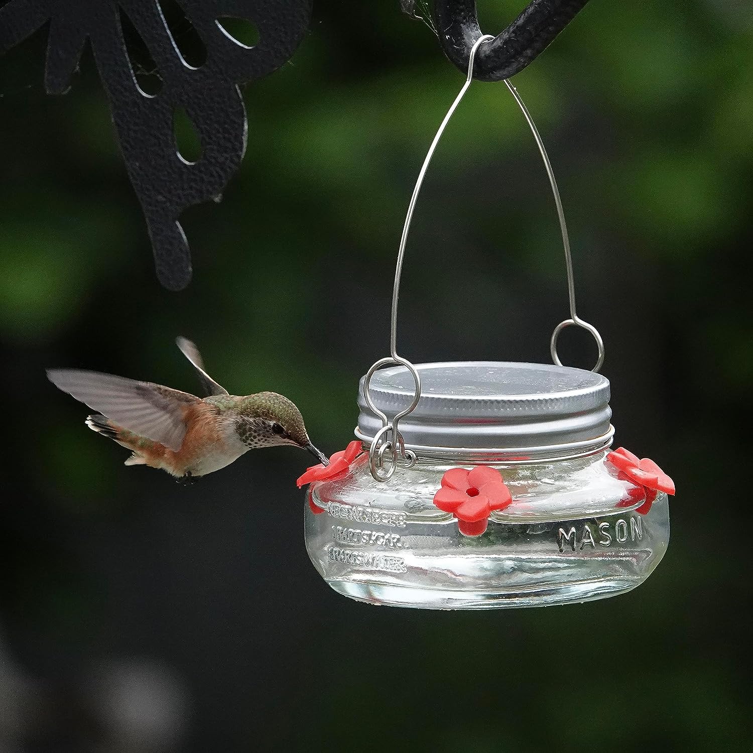 🎉 Beautiful Plastic Jar Hummingbird Feeder W/ Four Ports