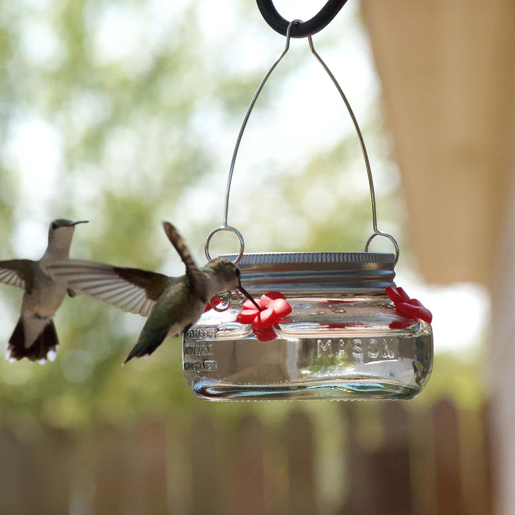 🎉 Beautiful Plastic Jar Hummingbird Feeder W/ Four Ports